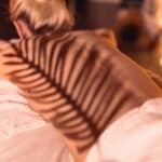 Massage Californien vs. Suédois vs. Balinais : lequel choisir pour se détendre ?